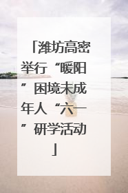 潍坊高密举行“暖阳”困境未成年人“六一”研学活动