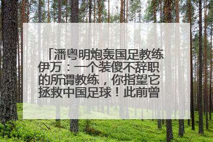 潘粤明炮轰国足教练伊万：一个装傻不辞职的所谓教练，你指望它拯救中国足球！此前曾多次发文评价国足