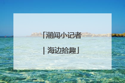 潮闻小记者｜海边拾趣