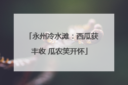 永州冷水滩：西瓜获丰收 瓜农笑开怀