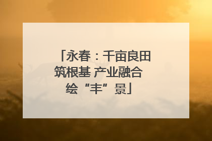 永春：千亩良田筑根基 产业融合绘“丰”景