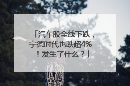 汽车股全线下跌，宁德时代也跌超4%！发生了什么？