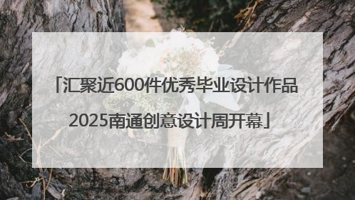 汇聚近600件优秀毕业设计作品 2025南通创意设计周开幕