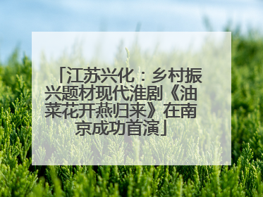 江苏兴化：乡村振兴题材现代淮剧《油菜花开燕归来》在南京成功首演