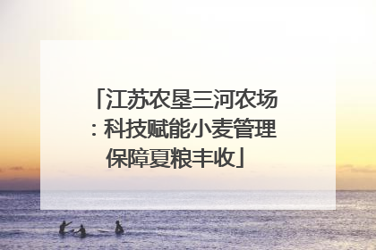 江苏农垦三河农场：科技赋能小麦管理保障夏粮丰收