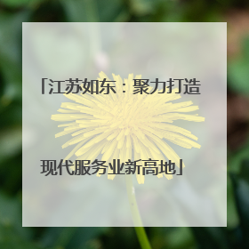 江苏如东：聚力打造现代服务业新高地