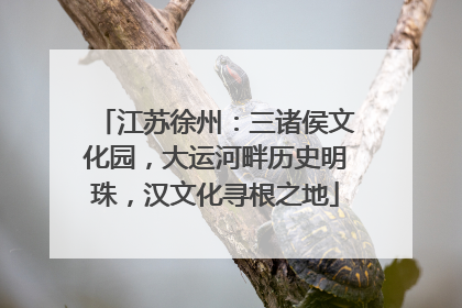 江苏徐州：三诸侯文化园，大运河畔历史明珠，汉文化寻根之地