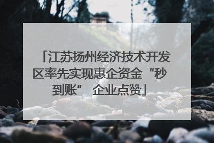 江苏扬州经济技术开发区率先实现惠企资金“秒到账” 企业点赞