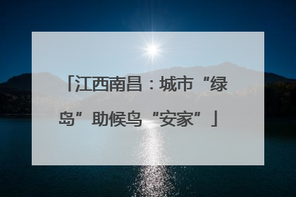 江西南昌：城市“绿岛”助候鸟“安家”