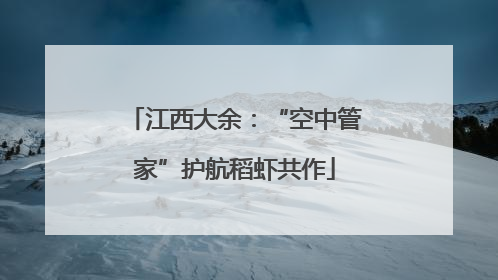 江西大余：“空中管家”护航稻虾共作