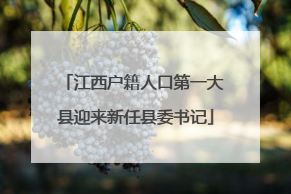 江西户籍人口第一大县迎来新任县委书记