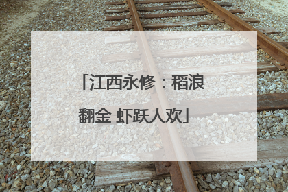 江西永修：稻浪翻金 虾跃人欢