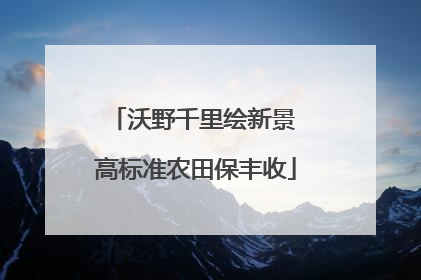 沃野千里绘新景 高标准农田保丰收