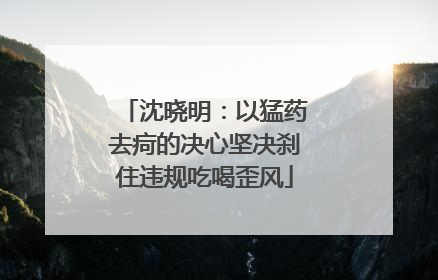 沈晓明：以猛药去疴的决心坚决刹住违规吃喝歪风