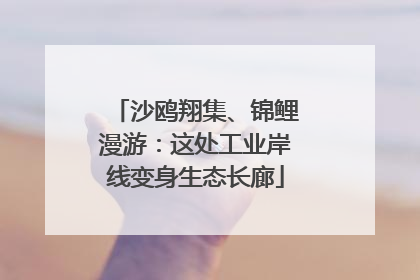 沙鸥翔集、锦鲤漫游：这处工业岸线变身生态长廊