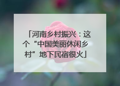 河南乡村振兴：这个“中国美丽休闲乡村”地下民宿很火