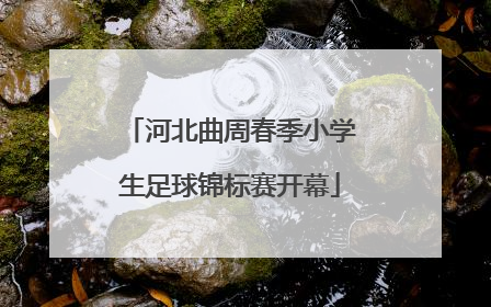 河北曲周春季小学生足球锦标赛开幕