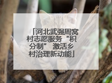 河北武强周窝村志愿服务“积分制” 激活乡村治理新动能