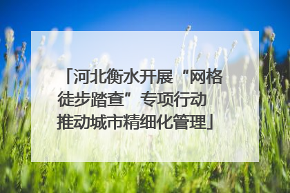 河北衡水开展“网格徒步踏查”专项行动 推动城市精细化管理
