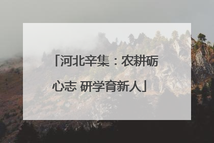 河北辛集：农耕砺心志 研学育新人
