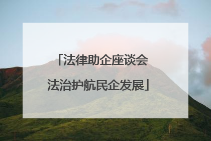 法律助企座谈会 法治护航民企发展