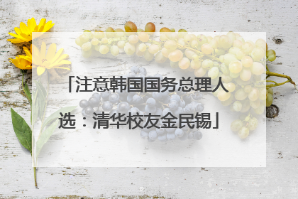 注意韩国国务总理人选：清华校友金民锡