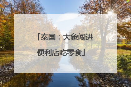 泰国：大象闯进便利店吃零食