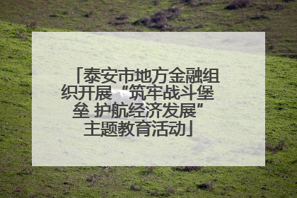 泰安市地方金融组织开展“筑牢战斗堡垒 护航经济发展”主题教育活动