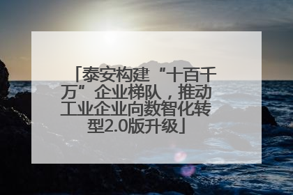泰安构建“十百千万”企业梯队，推动工业企业向数智化转型2.0版升级