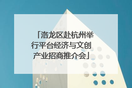 洛龙区赴杭州举行平台经济与文创产业招商推介会