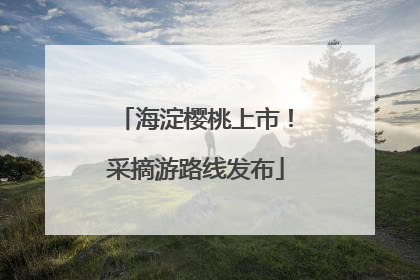 海淀樱桃上市！采摘游路线发布