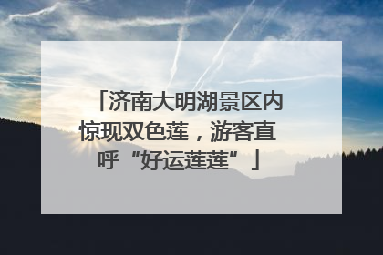 济南大明湖景区内惊现双色莲，游客直呼“好运莲莲”