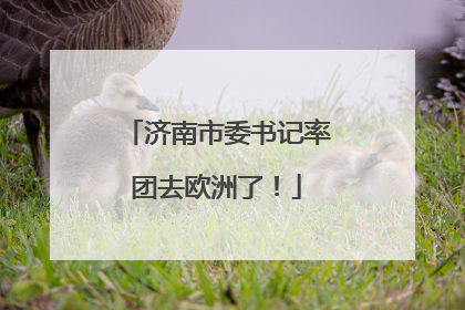 济南市委书记率团去欧洲了！