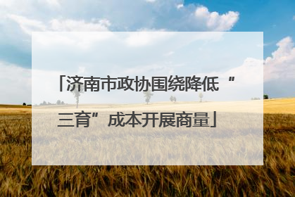 济南市政协围绕降低“三育”成本开展商量