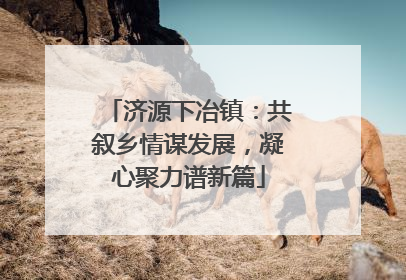 济源下冶镇：共叙乡情谋发展，凝心聚力谱新篇