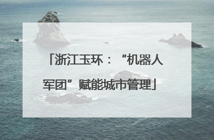 浙江玉环：“机器人军团”赋能城市管理