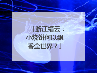 浙江缙云：小烧饼何以飘香全世界？