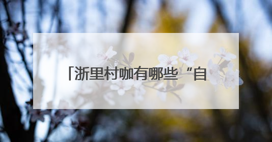 浙里村咖有哪些“自在”玩法，来潮新闻“吃货圈”秀一下