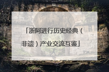 浙阿进行历史经典（非遗）产业交流互鉴