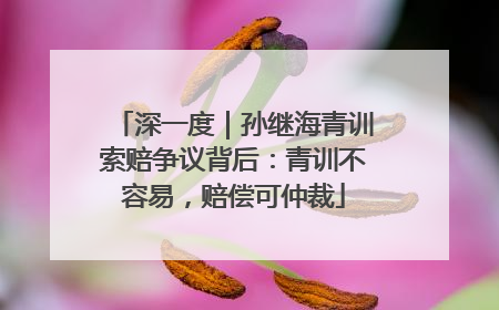 深一度｜孙继海青训索赔争议背后：青训不容易，赔偿可仲裁