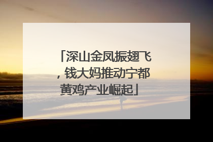 深山金凤振翅飞，钱大妈推动宁都黄鸡产业崛起