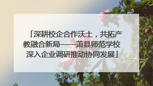 深耕校企合作沃土，共拓产教融合新局——萧县师范学校深入企业调研推动协同发展