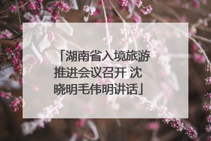 湖南省入境旅游推进会议召开 沈晓明毛伟明讲话