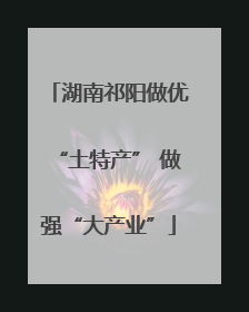湖南祁阳做优“土特产” 做强“大产业”