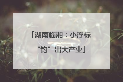 湖南临湘：小浮标“钓”出大产业