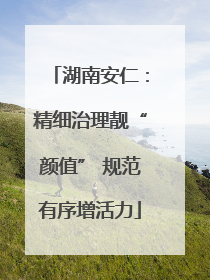 湖南安仁：精细治理靓“颜值” 规范有序增活力