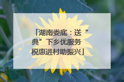 湖南娄底：送“典”下乡优服务 税惠进村助振兴