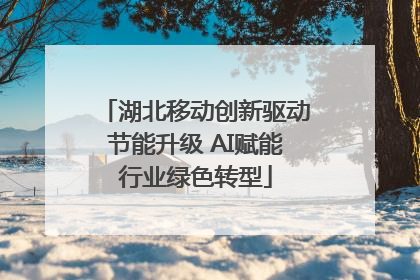 湖北移动创新驱动节能升级 AI赋能行业绿色转型