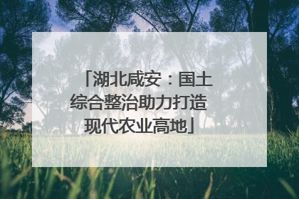湖北咸安：国土综合整治助力打造现代农业高地