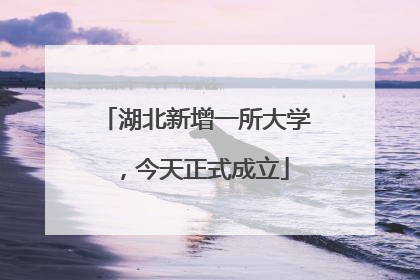 湖北新增一所大学，今天正式成立